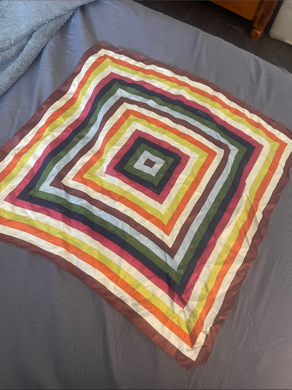 Coach Scarf - Picture 2 of 3